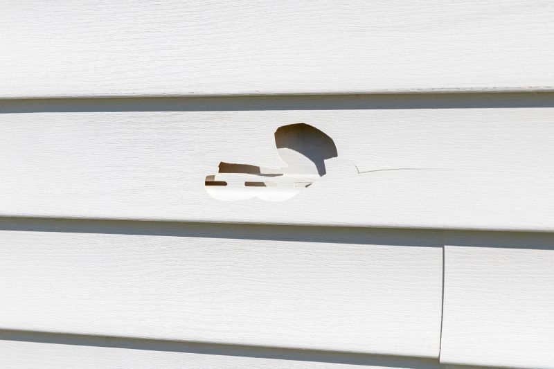 Damaged Batten Siding
